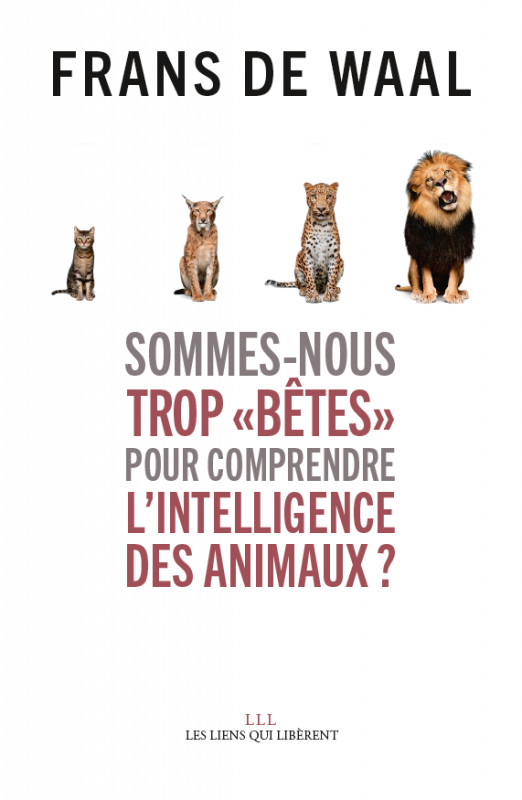 Sommes-nous trop " bêtes" pour comprendre l'intelligence des animaux ?