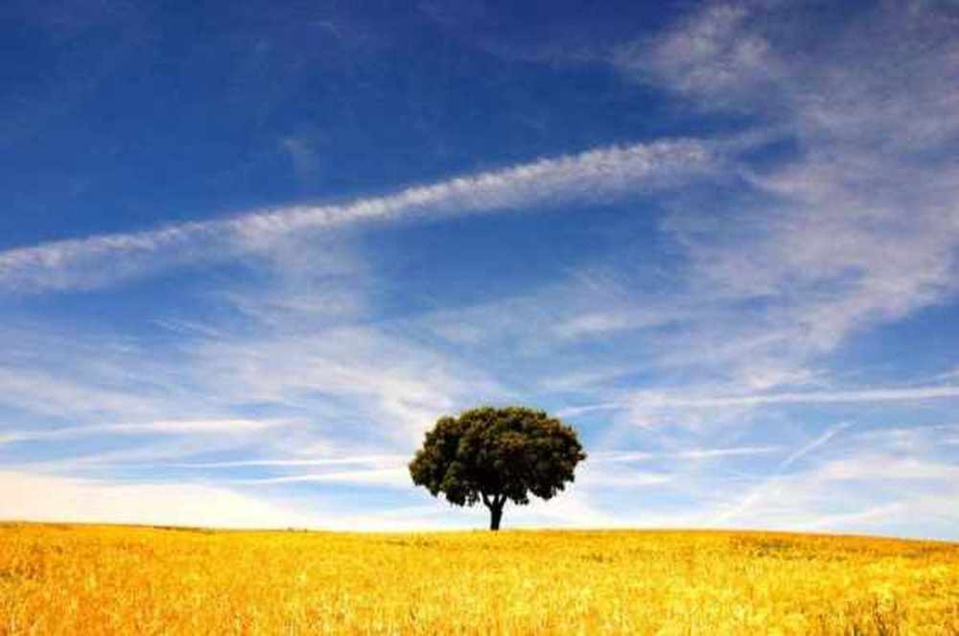 " Le Dieu sensible" - Prédication du 18 juin 2017. " Le Dieu sensible" - Prédication du 18 juin 2017.