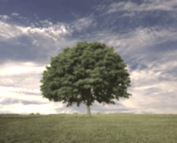 Samedi saint Samedi saint