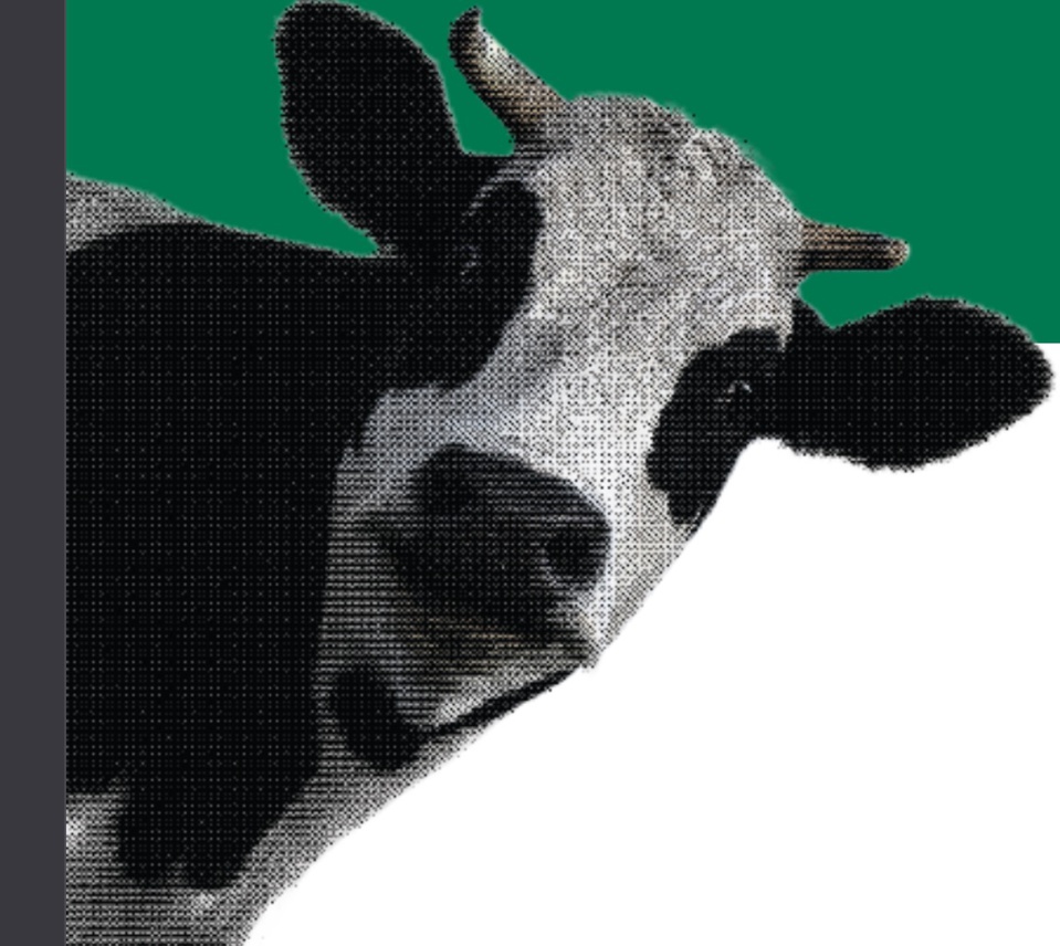 " le fils et le boeuf" " le fils et le boeuf"