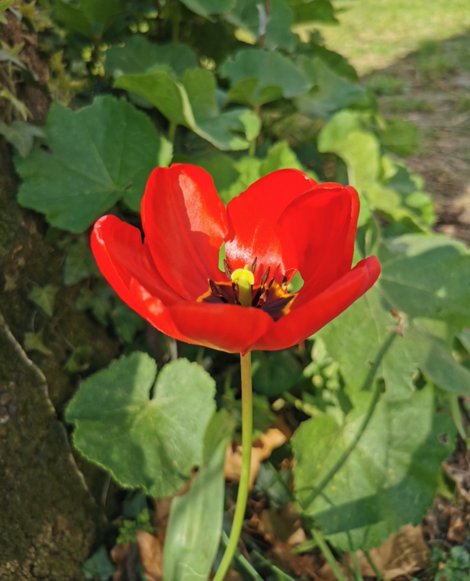 Si vous regardez bien, un ange prêt à s'envoler ©Rphilipoussi Si vous regardez bien, un ange prêt à s'envoler ©Rphilipoussi