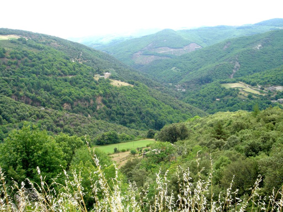 LA CÉVENOLE