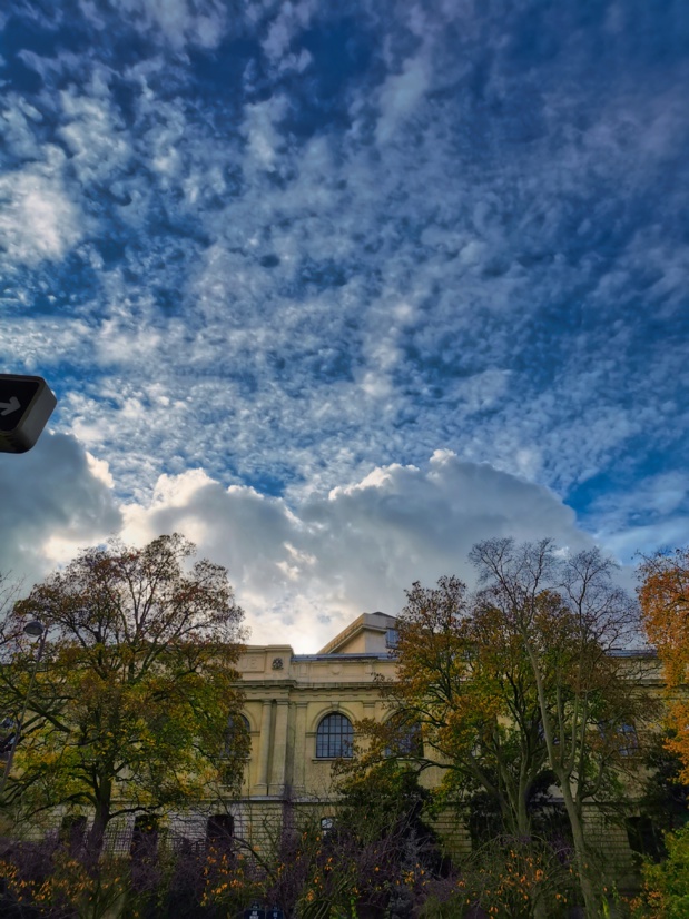 Photo Robert Philipoussi Photo Robert Philipoussi