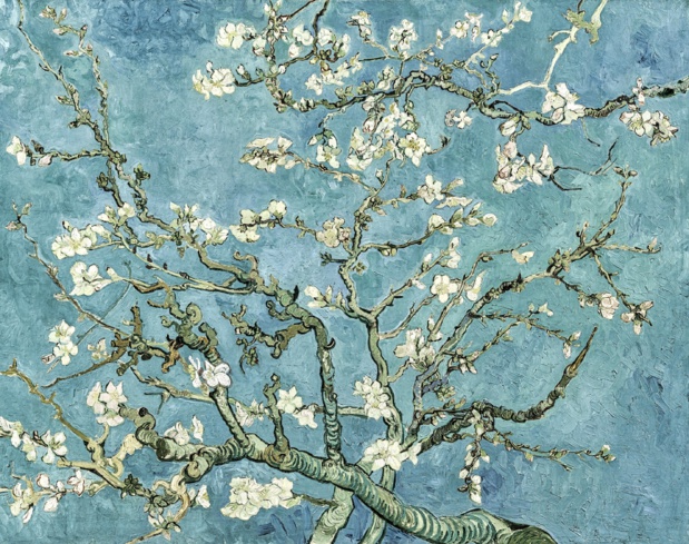 Vincent van Gogh Amandier en fleurs