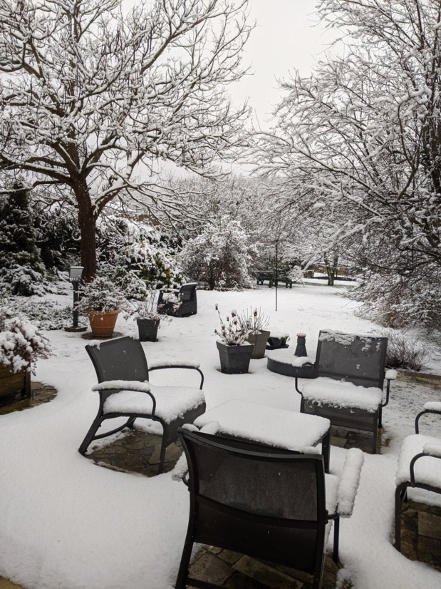 Jardin d'hiver, par D.T. Jardin d'hiver, par D.T.
