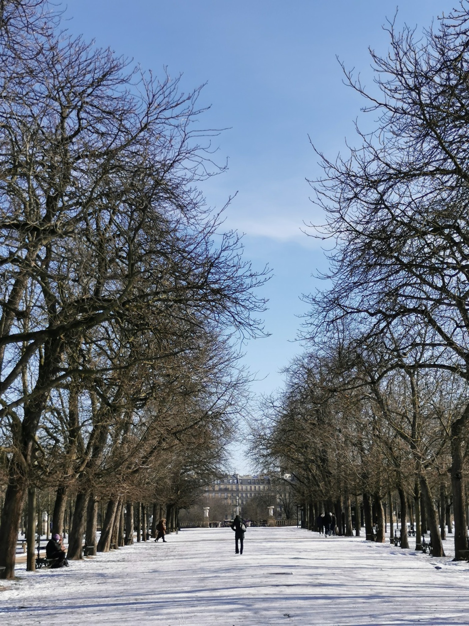 Jardin du Luxembourg
