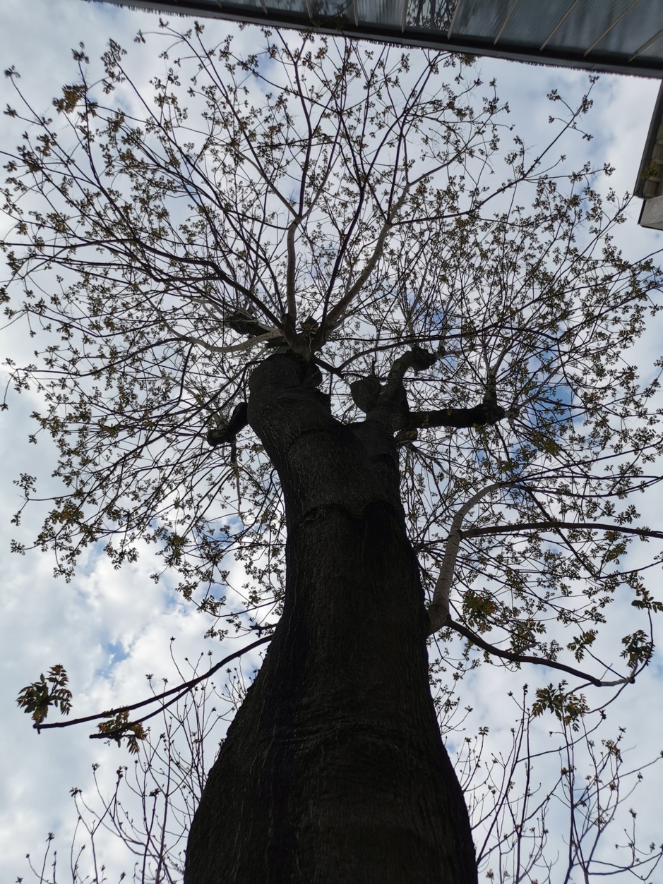 Jardin de la Maison Fraternelle Jardin de la Maison Fraternelle