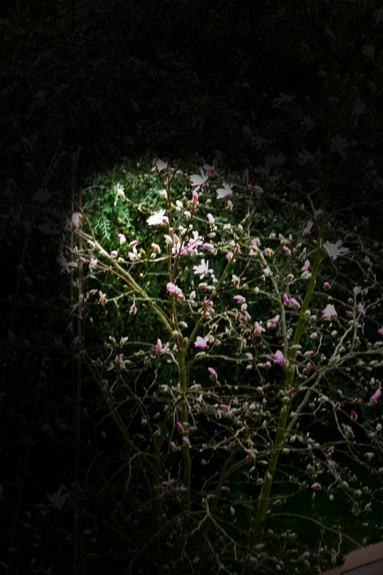 CULTE DU 23 mai 2021 ("Nous somme sauvés, mais...") CULTE DU 23 mai 2021 ("Nous somme sauvés, mais...")