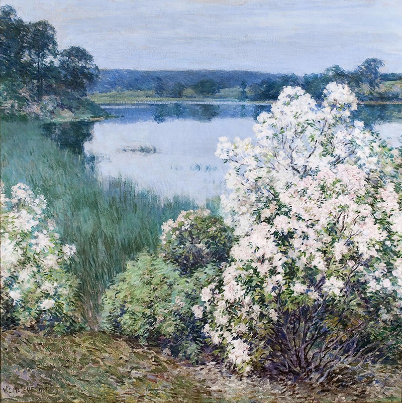 Willard L. Metcalf Kalmia Willard L. Metcalf Kalmia