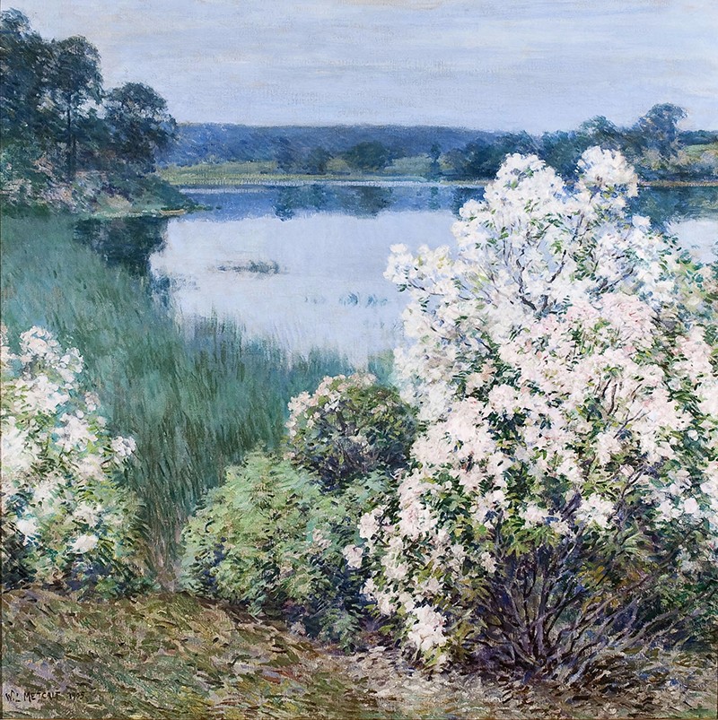 Willard L. Metcalf Kalmia