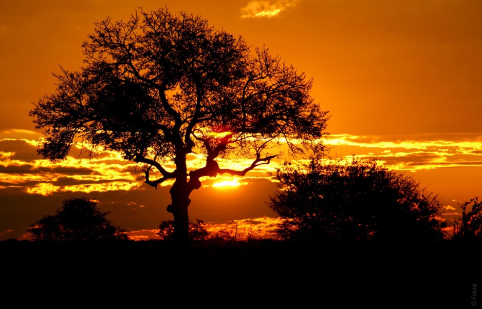 Une épreuve dans un désert Une épreuve dans un désert