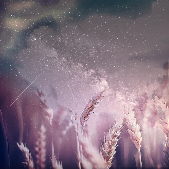 LECTURE DU TEXTE DU DIMANCHE 23 JUILLET LECTURE DU TEXTE DU DIMANCHE 23 JUILLET