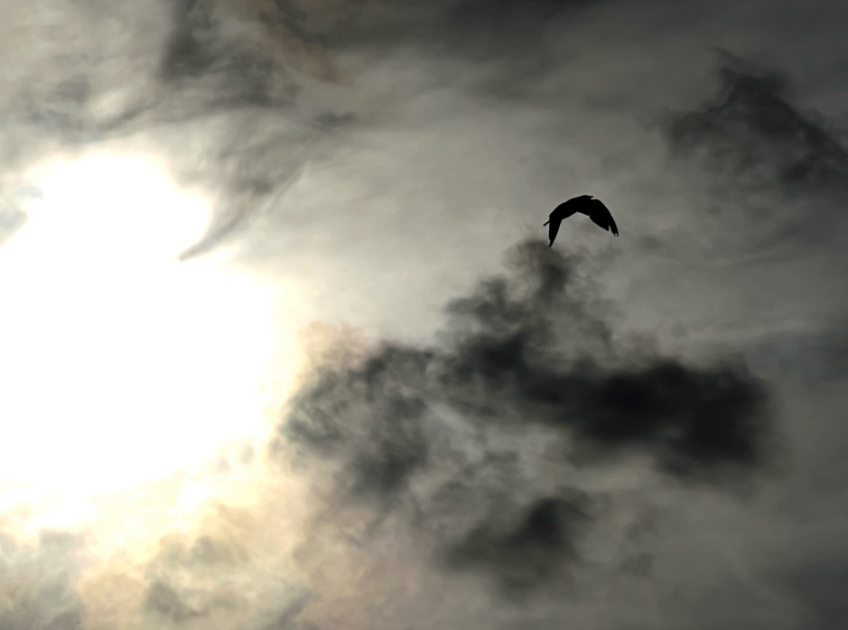 Photo Rphilipoussi Photo Rphilipoussi