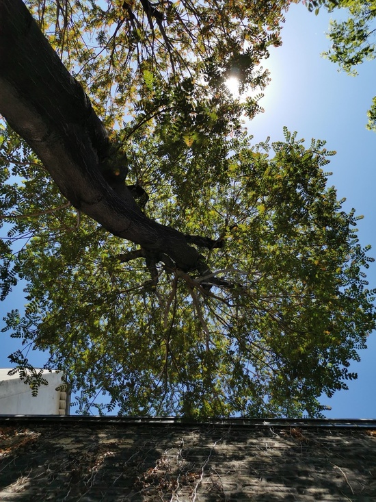 Textes du culte de Pâques 2025 Textes du culte de Pâques 2025