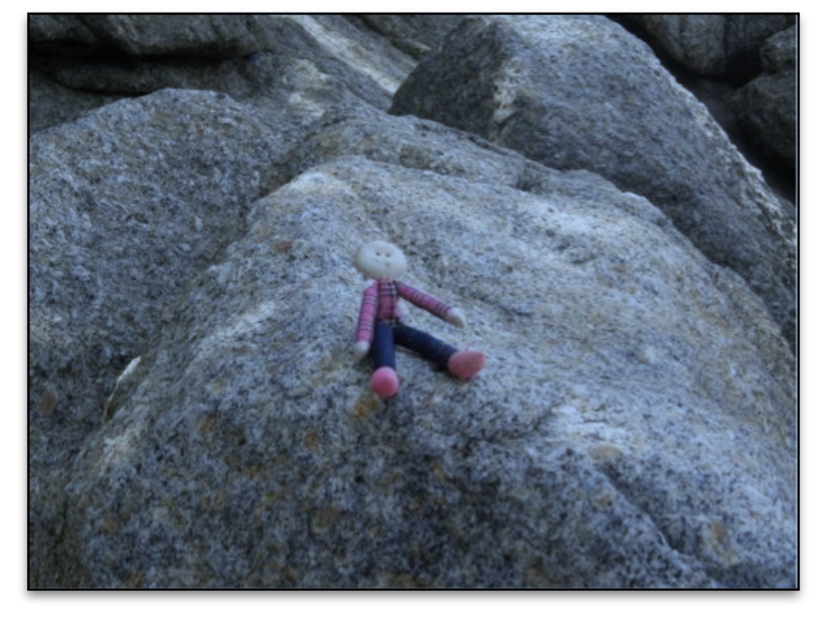 LA DEMESURE DU POSSIBLE LA DEMESURE DU POSSIBLE