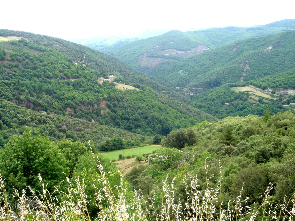 LA CÉVENOLE