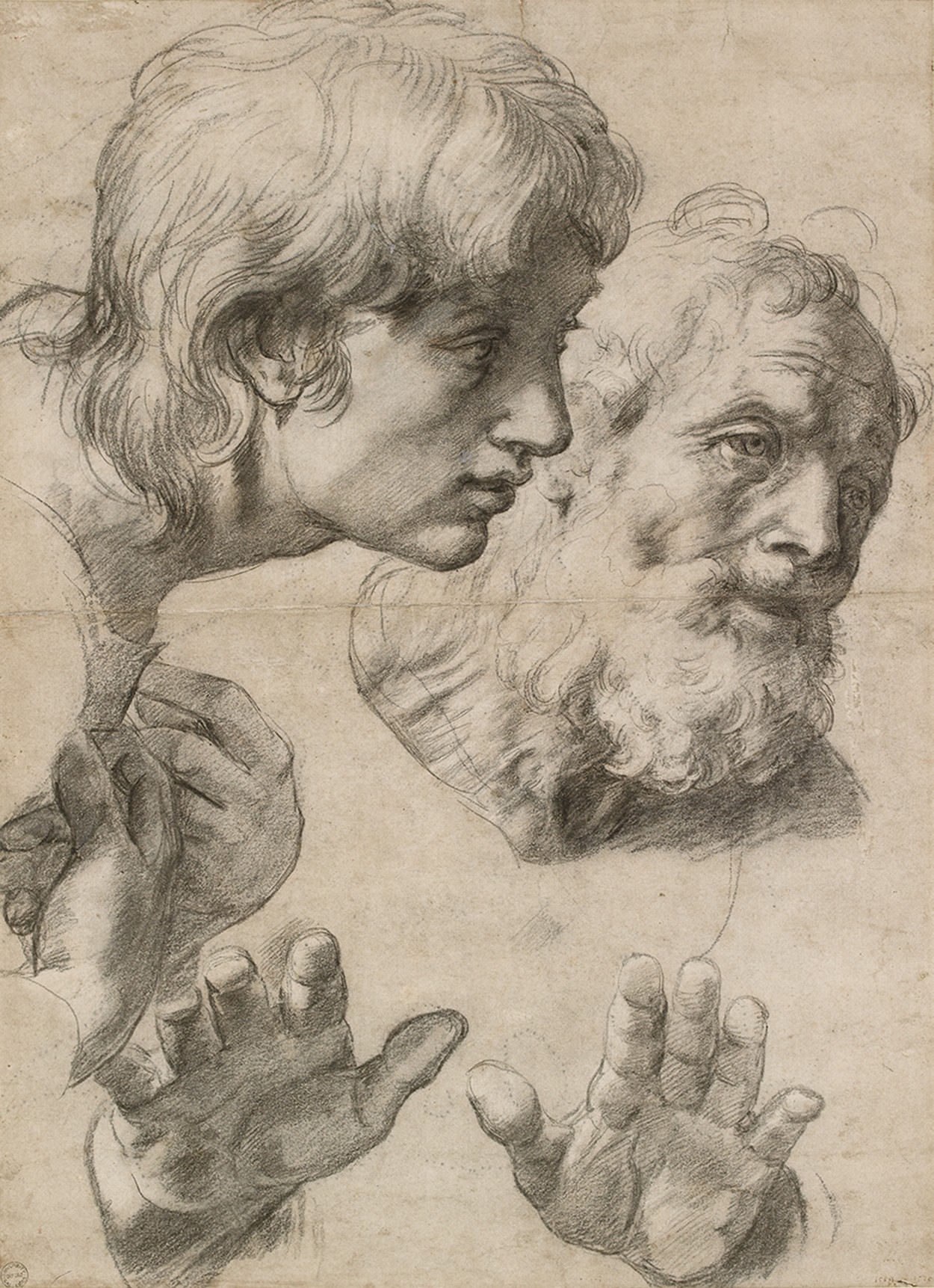Raphael Santi . Têtes et Mains de Deux Apôtres