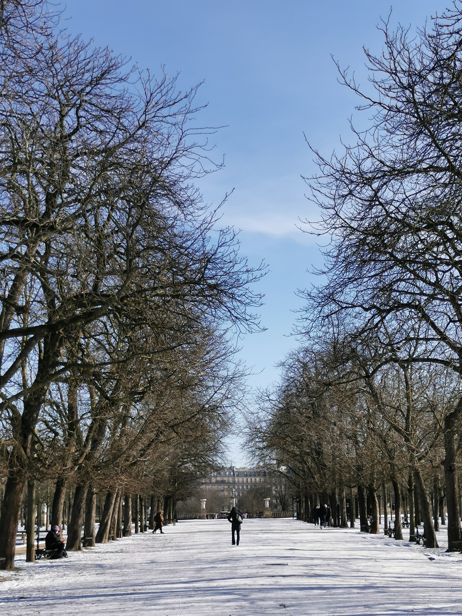 Jardin du Luxembourg