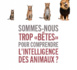 Sommes-nous trop " bêtes" pour comprendre l'intelligence des animaux ?