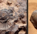 NON À UNE ÉGLISE FOSSILE  !