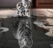 "le chaton mégalomane"  