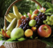 VOTRE TRAVAIL PORTERA DU FRUIT