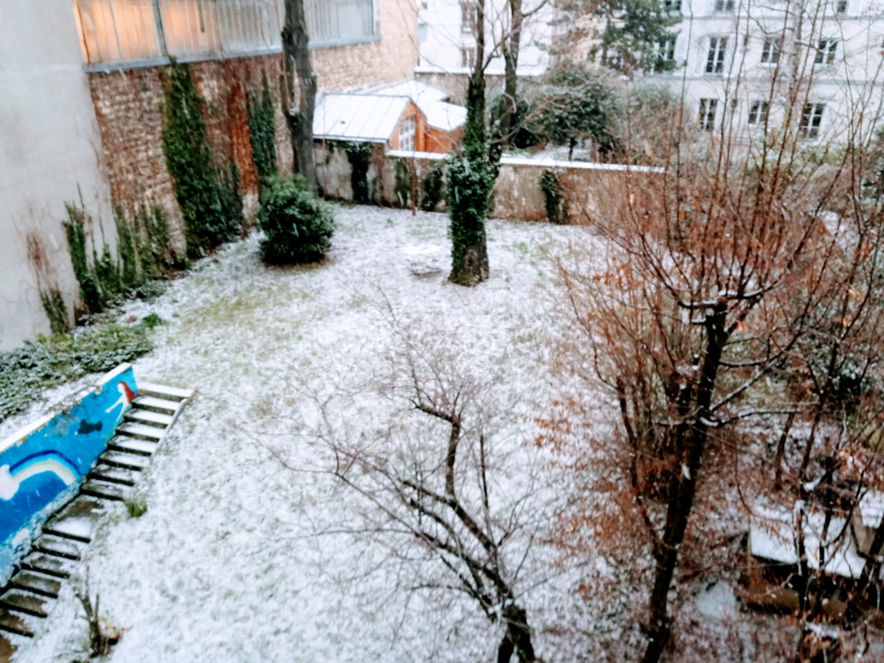 IMG_20190122_102723 IMG_20190122_102723