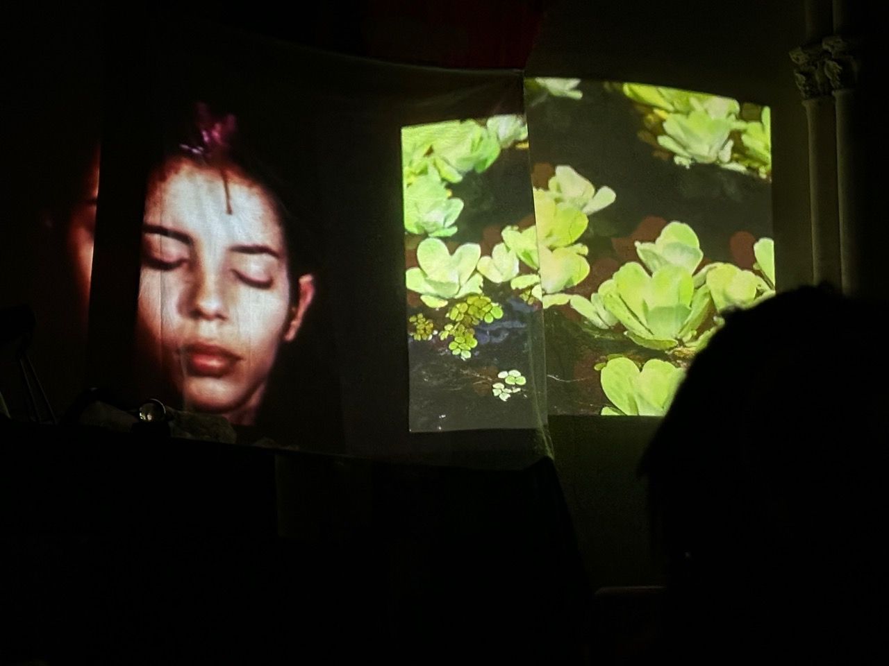 IMG_0607 - Grande IMG_0607 - Grande