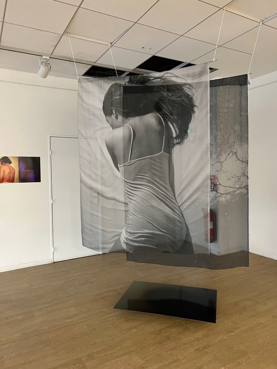 IMG_1735 - Grande IMG_1735 - Grande