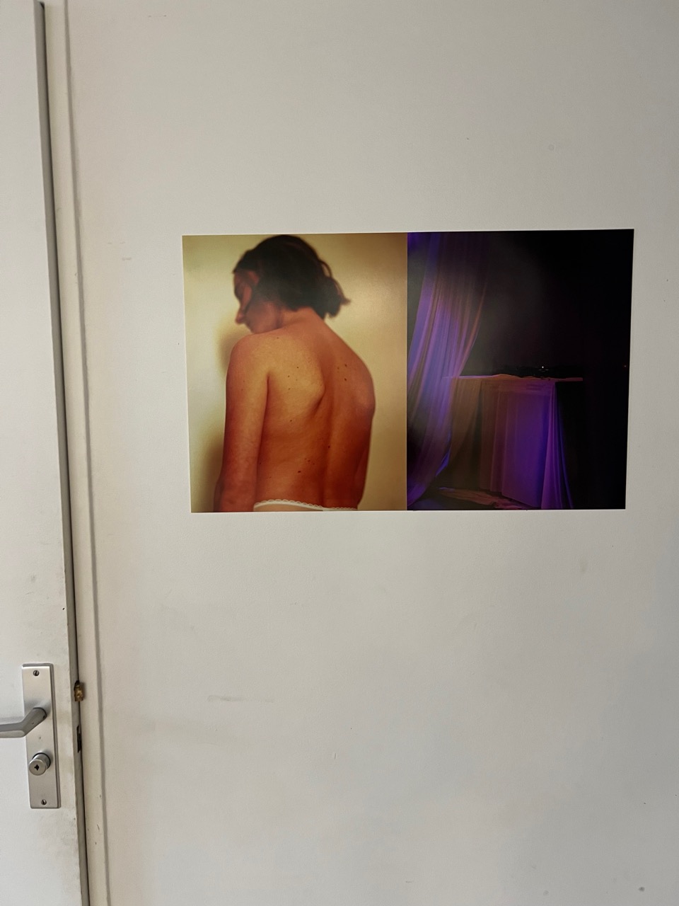 IMG_1736 - Grande IMG_1736 - Grande