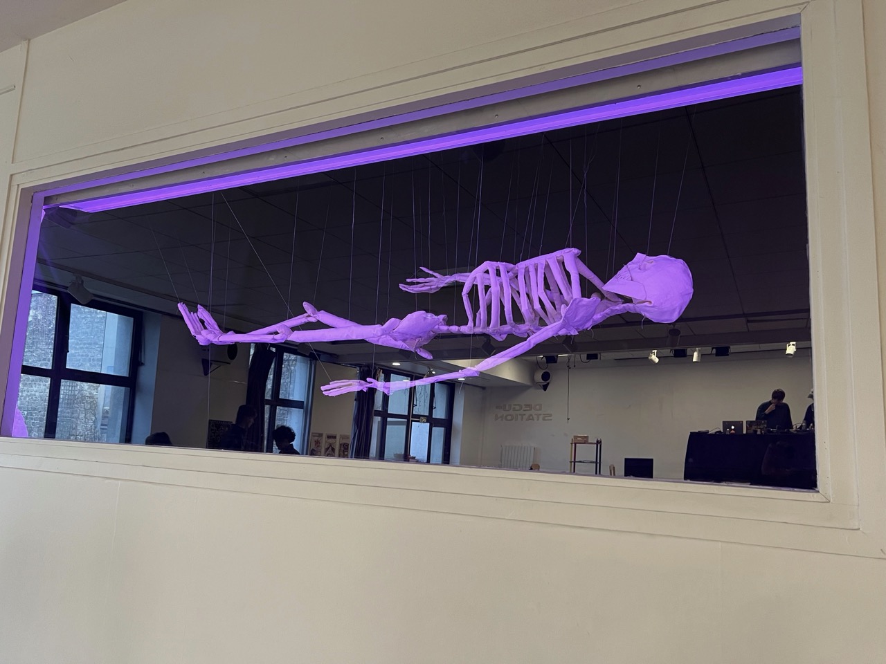 IMG_1737 - Grande IMG_1737 - Grande