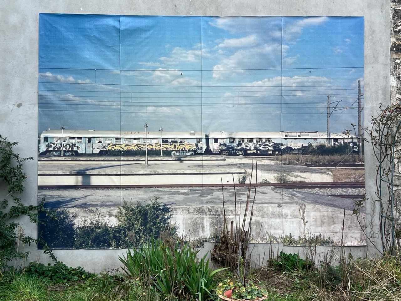 IMG_1747 - Grande IMG_1747 - Grande