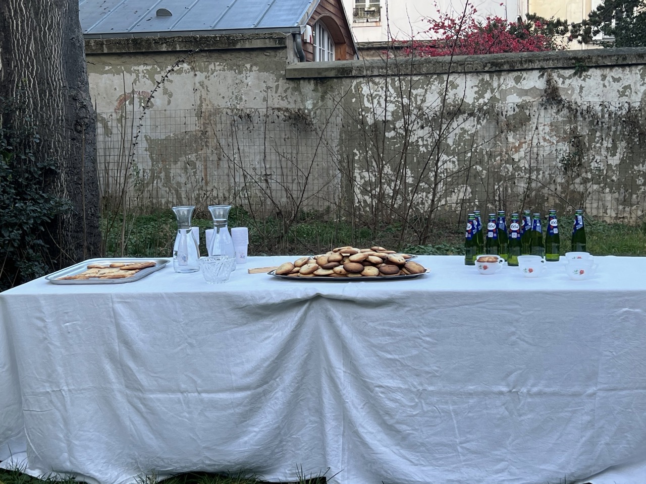 IMG_1748 - Grande IMG_1748 - Grande