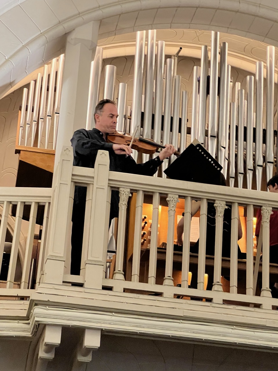 IMG_2311 - Grande IMG_2311 - Grande